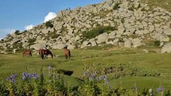 Chez Lulu Neuf Au Coeur De 公寓 *