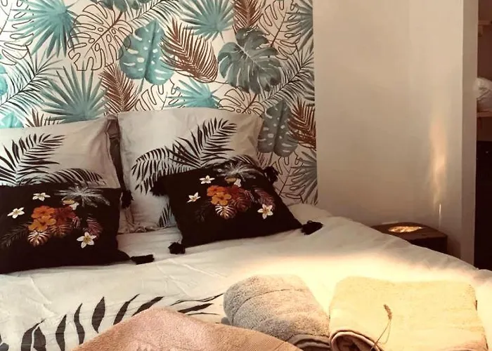 Chez Lulu Neuf Au Coeur De 公寓 Cozzano